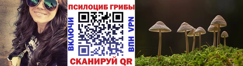 хочу наркоту  Одинцово  Псилоцибиновые грибы мицелий 